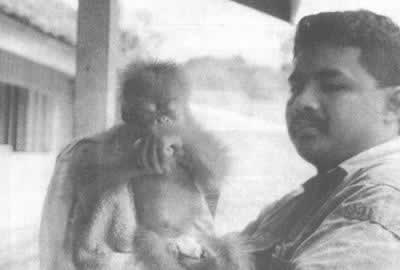 印尼發(fā)生森林大火