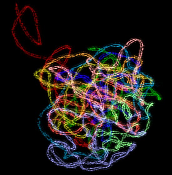 最佳年度生物顯微照片，水蚤微觀照居首