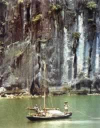 我國與越南建立外交關系