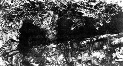 國民黨制造震驚中外的“皖南事變”