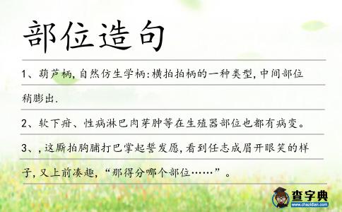 部位造句