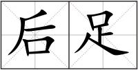 后足